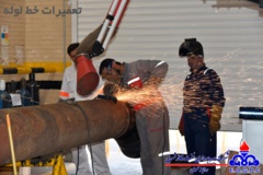تصاویر منتخب منطقه