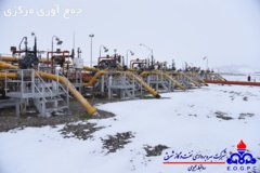 تصاویر منتخب منطقه