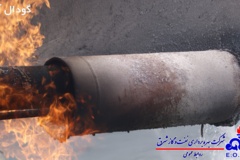 تصاویر منتخب منطقه