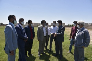 حمایت نفت و گاز شرق از ورزش همگانی و قهرمانی سرخس