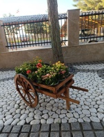 گزارش تصویری؛ اجرای طرح استقبال از بهار ۱۴۰۴
