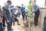 تعداد 50 اصله نهال در مزار شهدای روستای گنبدلی غرس شد